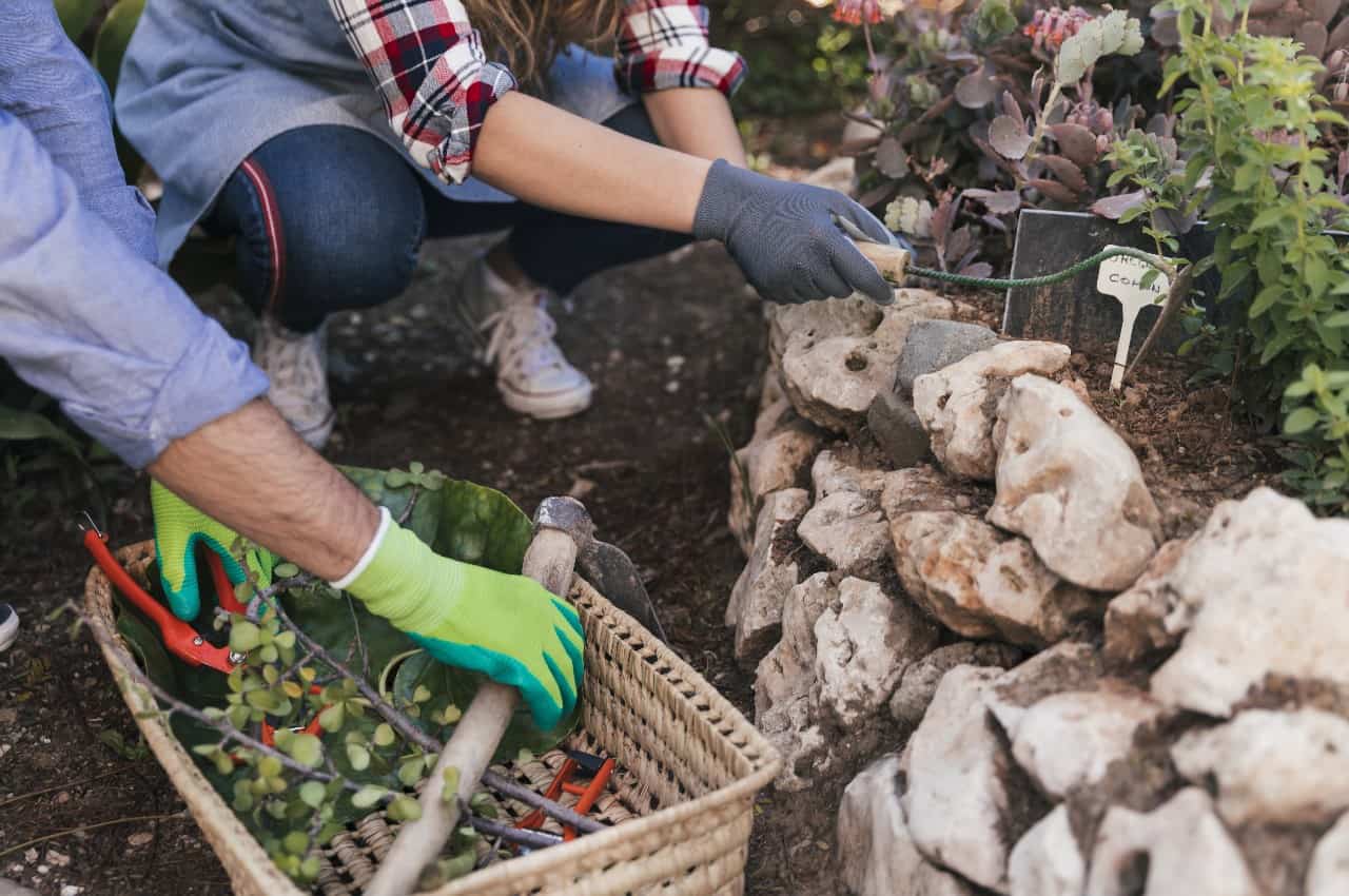 Kamienie w ogrodzie – jak je wykorzystać?