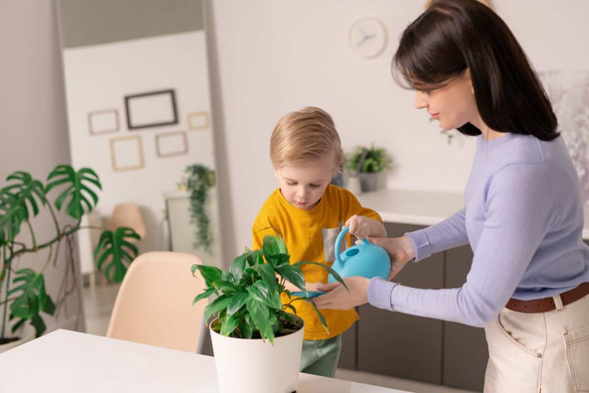 Jak nauczyć dziecko dbać o kwiaty w swoim pokoju?